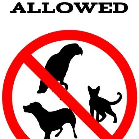 Appartamento - Kwartal Rozy Wiatrow